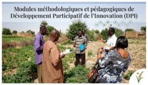 Lire la suite à propos de l’article Modules méthodologiques et pédagogiques du Développement Participatif de l’Innovation (DPI)