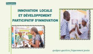 Lire la suite à propos de l’article Innovation locale et Développement Participatif d’Innovation (DPI)