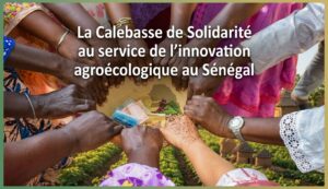 Lire la suite à propos de l’article La Calebasse de Solidarité au service de l’innovation agroécologique au Sénégal